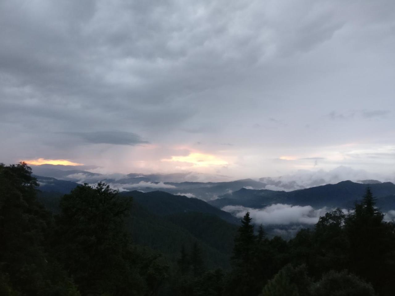 Simba Cafe & Lodge Binsar Εξωτερικό φωτογραφία