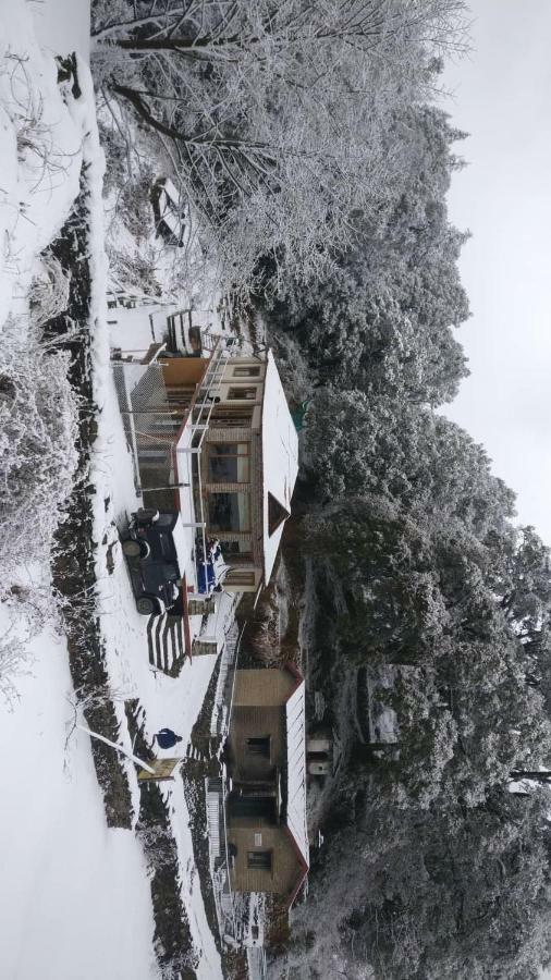 Simba Cafe & Lodge Binsar Εξωτερικό φωτογραφία