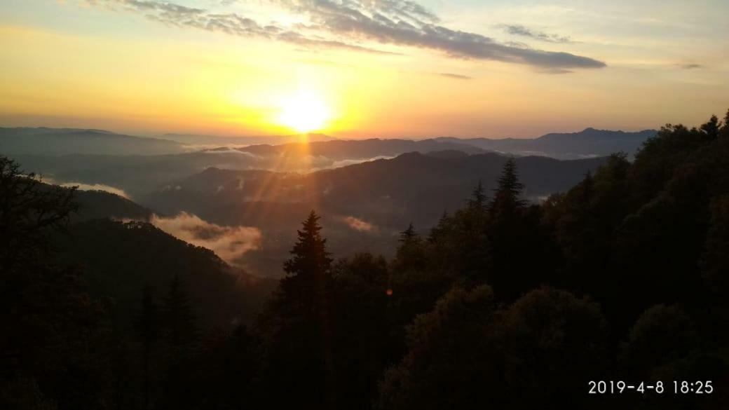 Simba Cafe & Lodge Binsar Εξωτερικό φωτογραφία
